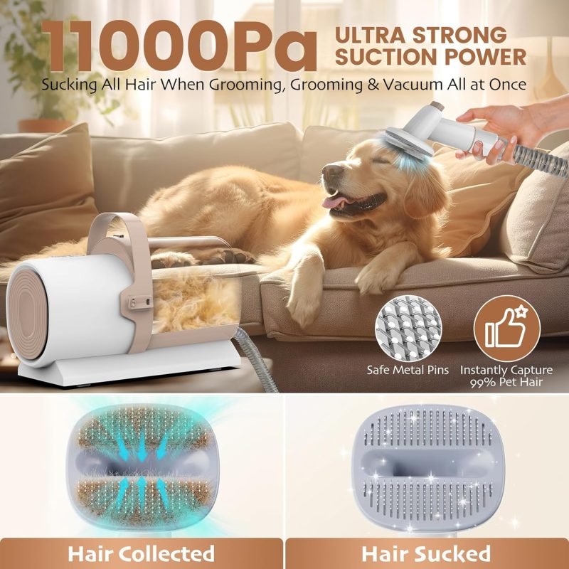 Dog Grooming Vacuum & Dog Hair Vacuum, 11000Pa Suction Power Dog Vacuum for Shedding Grooming - Image 2